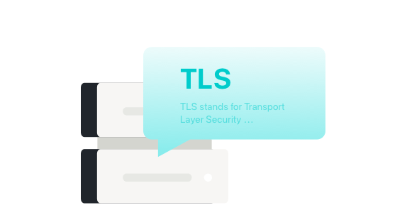 TLS protocol