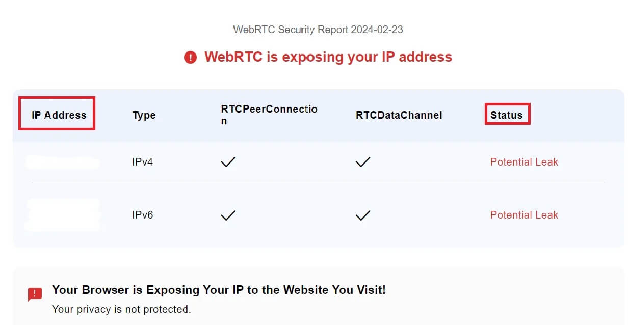 webrtc leak test