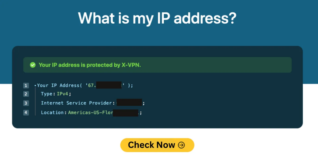 Find Public IP