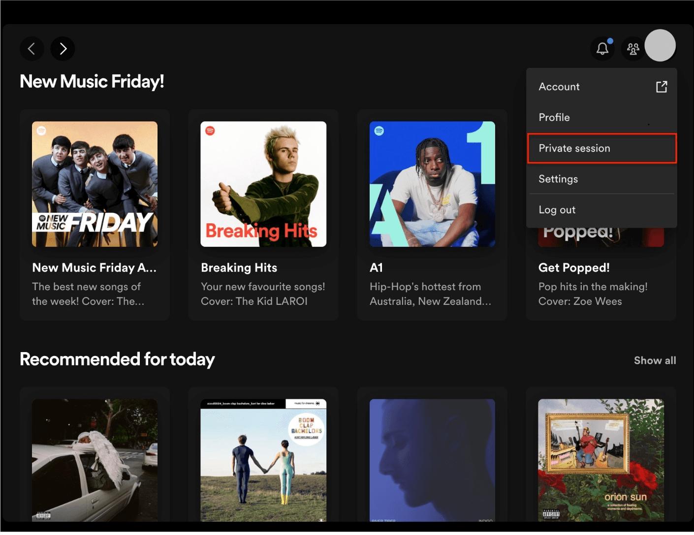 Spotify Private Session
