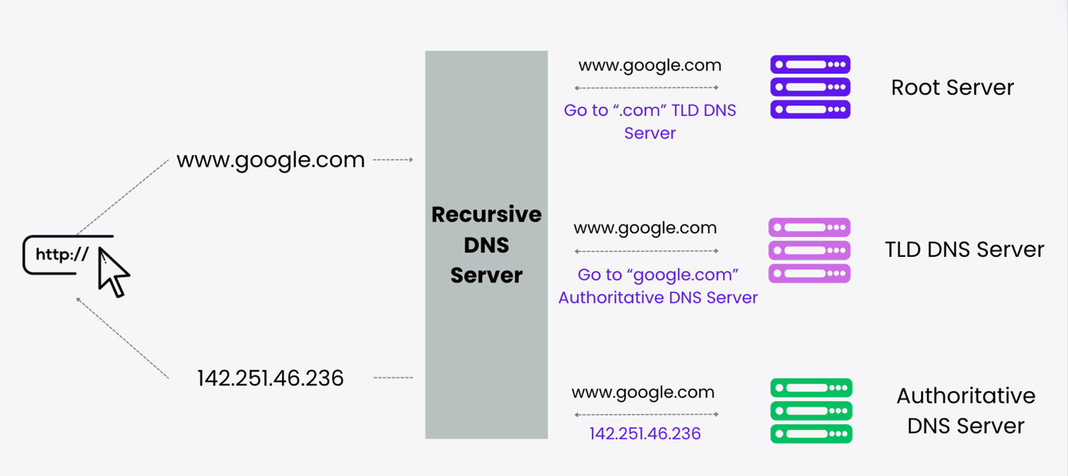 How does the DNS work