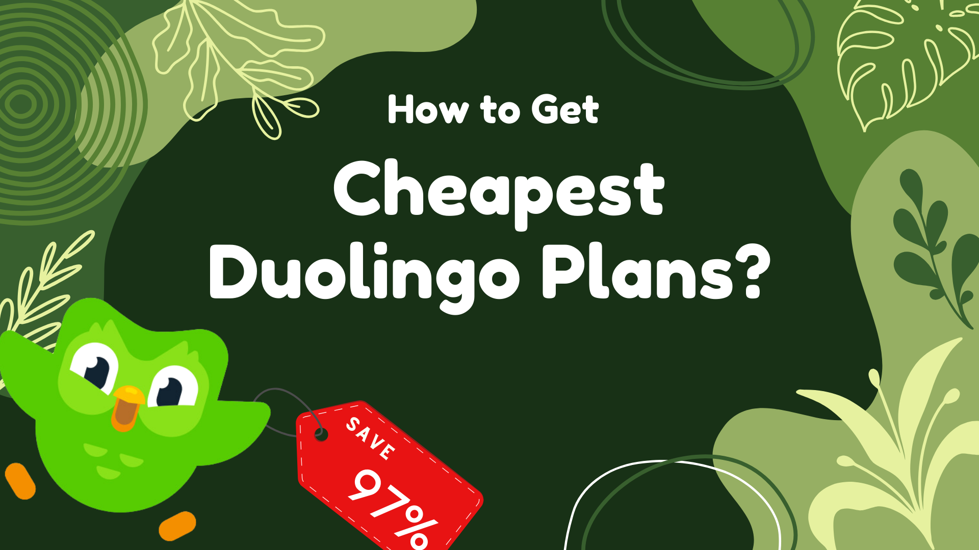 How to Get Cheapest Duolingo Family Plan and Super Duolingo?