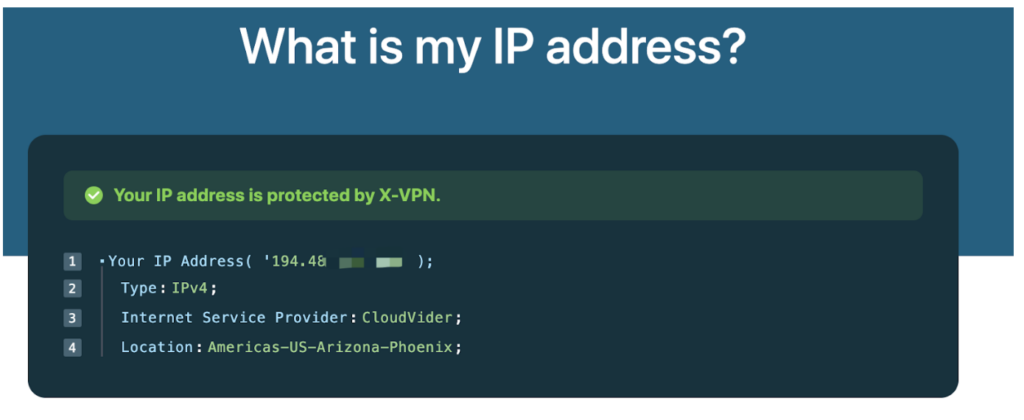 IP address checker interface