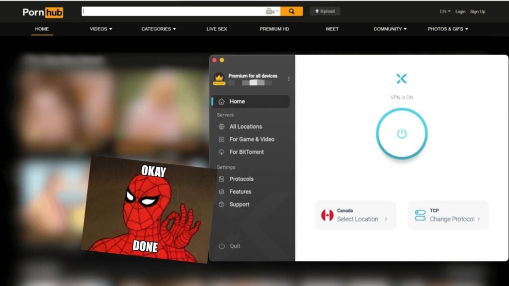 watch pornhub with xvpn