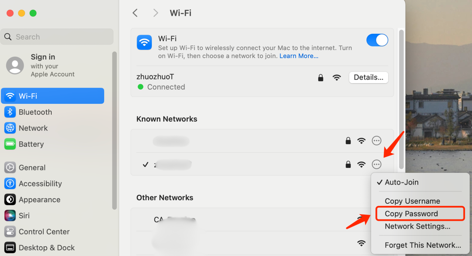 find Network Security Key on mac