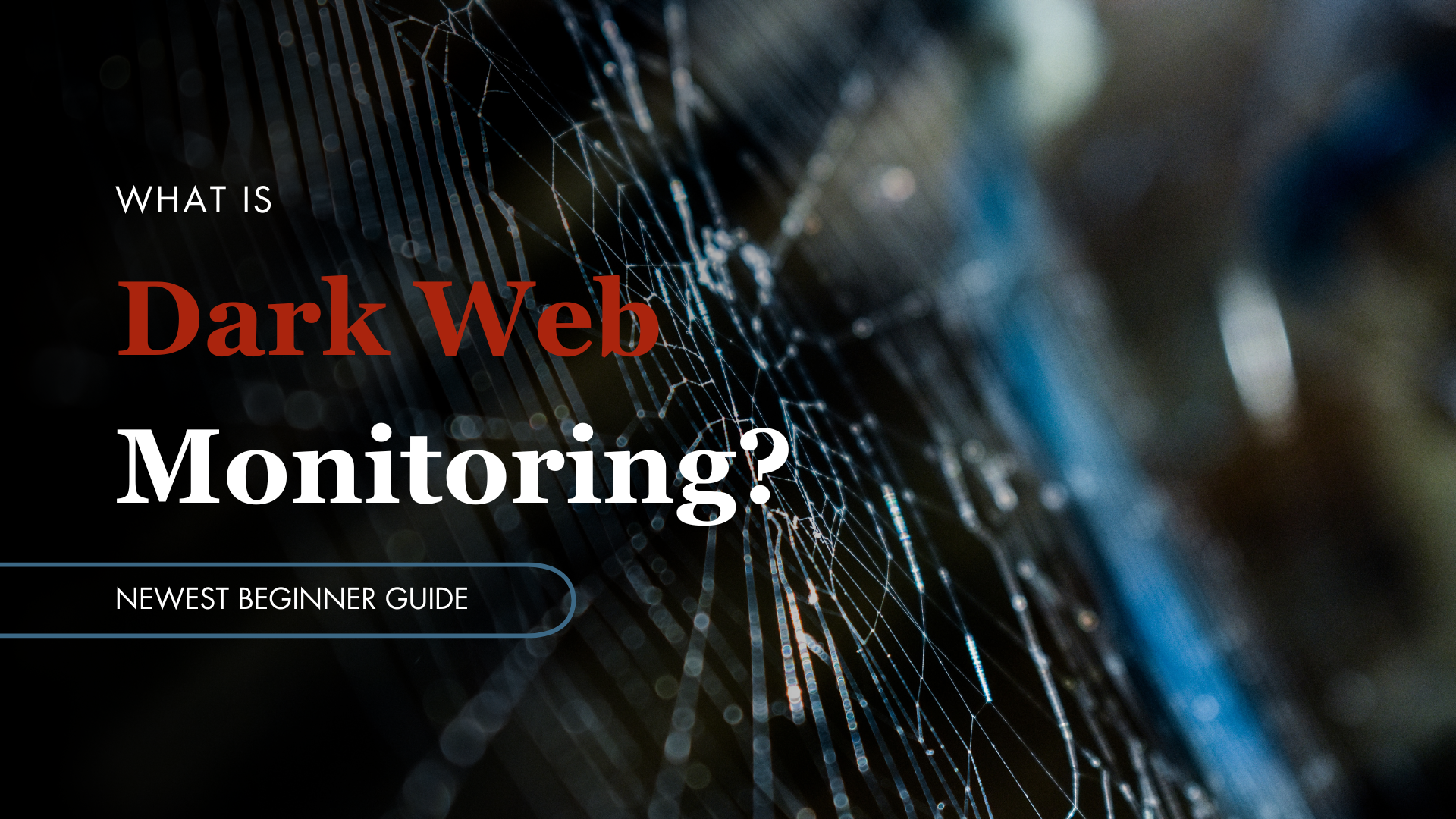 [Beginner Guide] What Is Dark Web Monitoring? 