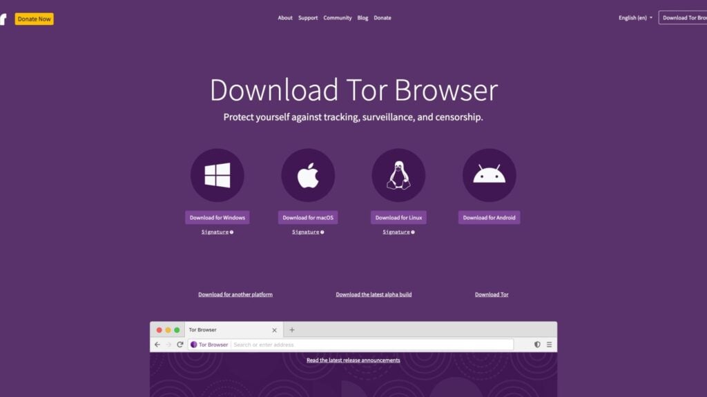 Download tor browser from the Official Tor Website