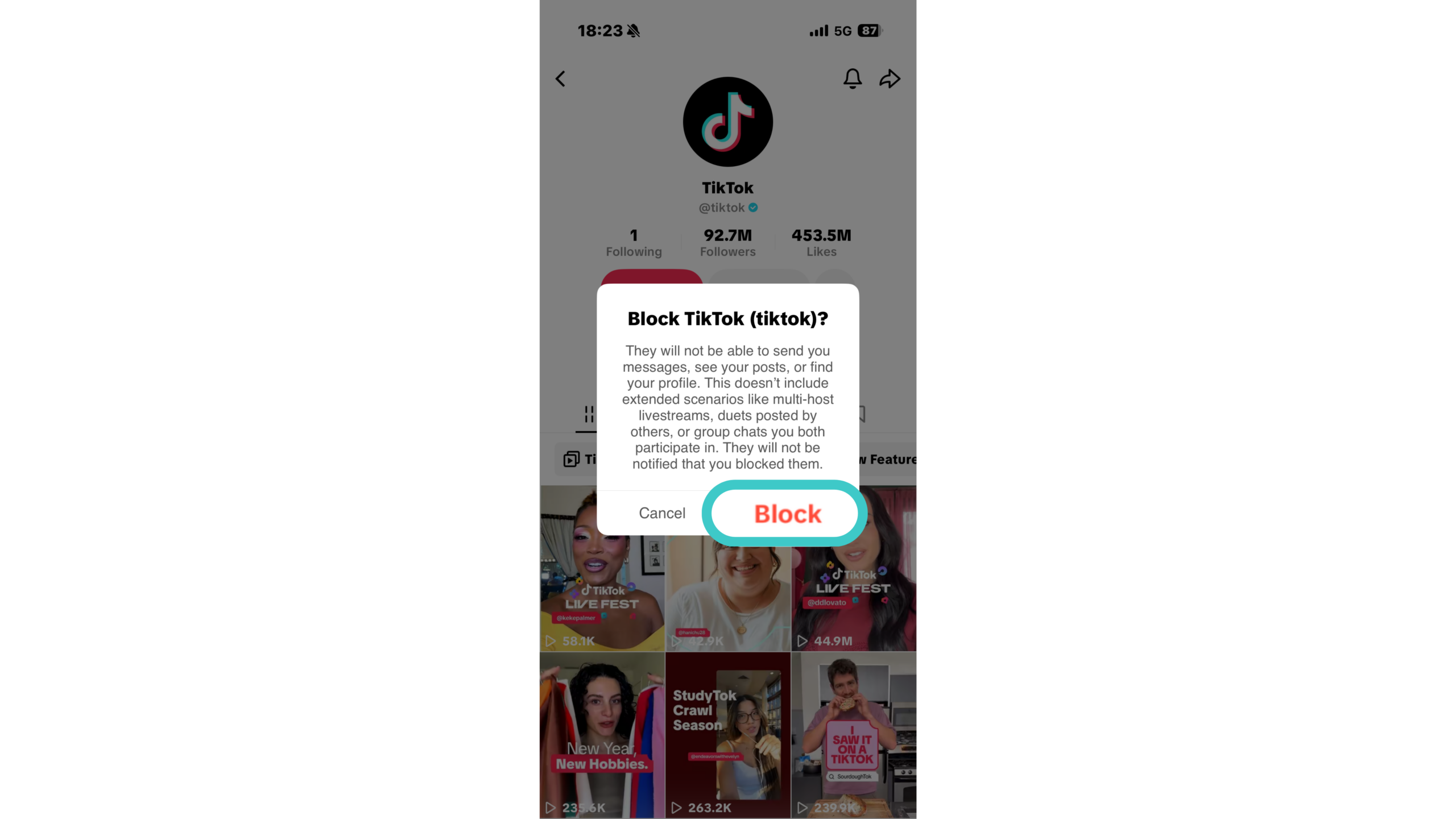 Step 4. Confirm the Block