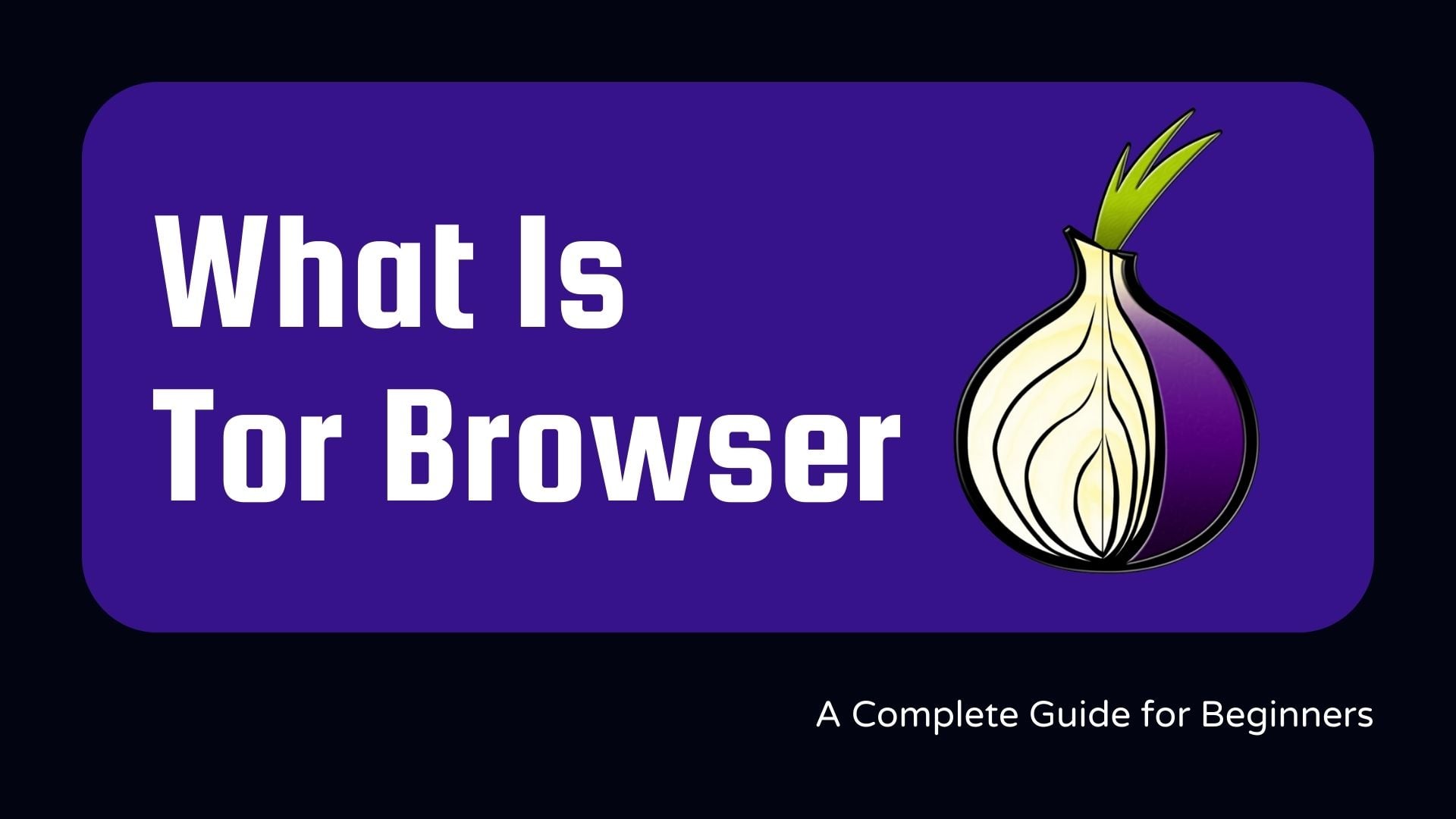 what is a tor browser, xvpn guide