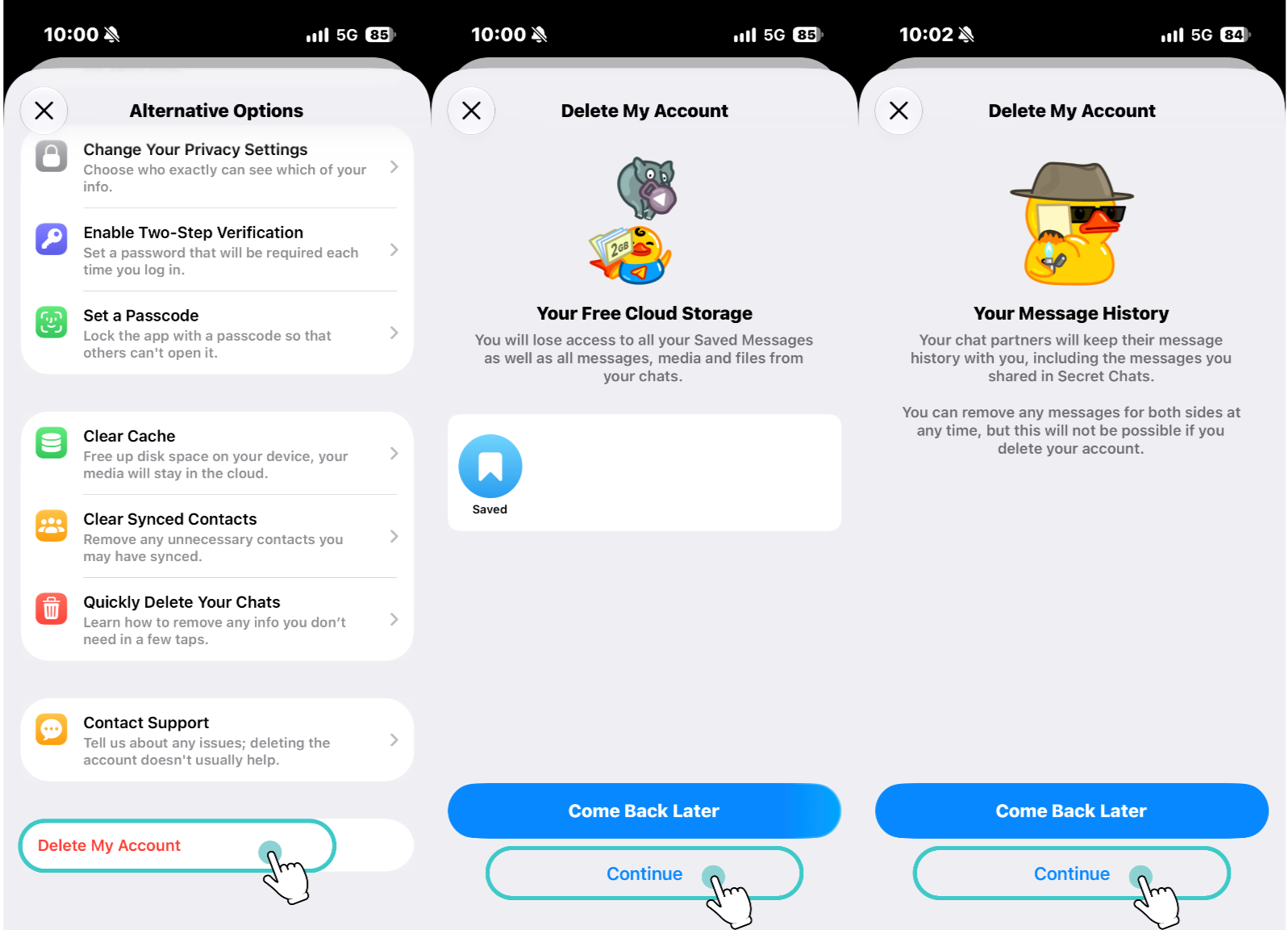 Alternative Options page → Delete My Account → Tap Continue when prompted
